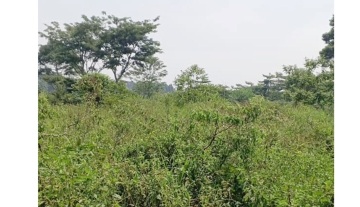 WhatsApp Image 2025-03-21 at 21.51.12 1.jpg